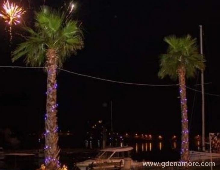 palme i vatromet